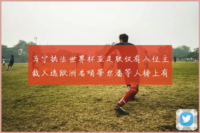 马宁执法世界杯亚足联仅有八位主裁入选欧洲名哨蒂尔潘等人榜上有名
